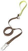 Algopix Similar Product 9 - West Paw Strolls Dog Leash with Comfort