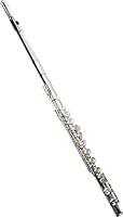 Algopix Similar Product 1 - Roy Benson Flute FL602E incl