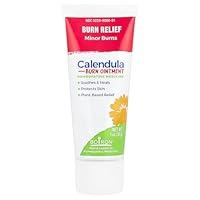 Algopix Similar Product 1 - Boiron Calendula Burn Ointment for