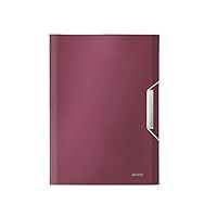 Algopix Similar Product 1 - Leitz A4 Expanding File with 6