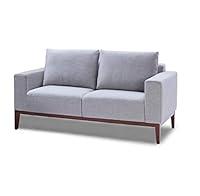 Algopix Similar Product 14 - Cortesi Home Roma Loveseat in Soft Grey