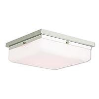 Algopix Similar Product 9 - Livex Lighting 6553835 Transitional