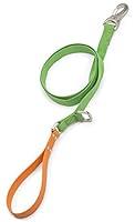 Algopix Similar Product 10 - West Paw Strolls Dog Leash with Comfort