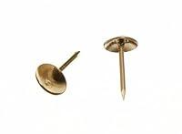 Algopix Similar Product 1 - 2000 X Upholstery Nail Furniture Stud