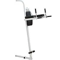 Algopix Similar Product 8 - BodySolid VKR30 Vertical Knee Raise