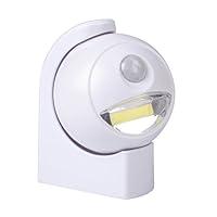 Algopix Similar Product 5 - Northpoint COB LED Motion Sensor Light