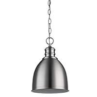 Algopix Similar Product 1 - Acclaim IN11171SN Lighting, Satin Nickel