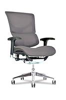 Algopix Similar Product 11 - Healthy Back X Chair Office Desk Chair