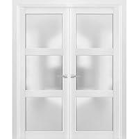 Algopix Similar Product 7 - Solid French Double Doors 48 x 80