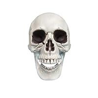 Algopix Similar Product 7 - CapsA Resin Halloween DecorationsGifts
