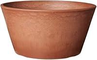 Algopix Similar Product 7 - PSW Pot TD25TC Collection Shallow Bulb
