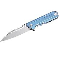 Algopix Similar Product 1 - Artisan Littoral Framelock Blue