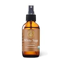 Algopix Similar Product 16 - Aromatics International White Sage