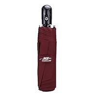 Algopix Similar Product 11 - Famleaf 43 Compact Automatic