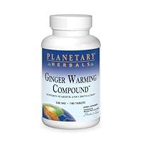 Algopix Similar Product 8 - Planetary Herbals Ginger Warming