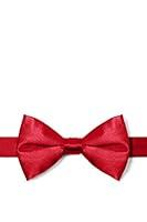 Algopix Similar Product 9 - Crimson Red Crimson Silk PreTied Bow