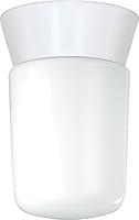 Algopix Similar Product 9 - Nuvo Lighting SF77533 Utility Fixture