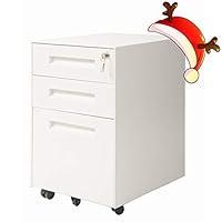 Algopix Similar Product 16 - ModernLuxe 3Drawer Metal Mobile File