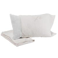 Algopix Similar Product 16 - SnugglePedic Pillow Covers  Zippered