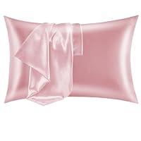 Algopix Similar Product 10 - CozyLux Silk Satin Pillowcase for Hair