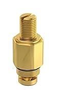Algopix Similar Product 10 - Danze DA603933 Check Valve for Pressure