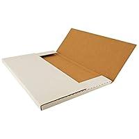 Algopix Similar Product 13 - 11x17 Mailer Box
