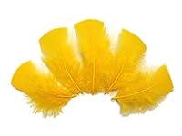 Algopix Similar Product 9 - 14 Lb  Golden Yellow Dyed Turkey