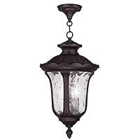 Algopix Similar Product 17 - Livex Lighting 785807 Oxford 3 Light