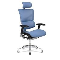 Algopix Similar Product 8 - XChair X3 Management Office Chair