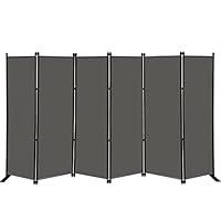 Algopix Similar Product 9 - MAYOLIAH 6 Panel Folding Privacy Screen