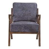 Algopix Similar Product 7 - Moes Home Collection Drexel Arm Chair