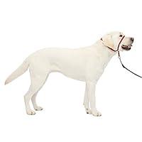 Algopix Similar Product 2 - PetSafe Gentle Leader NoPull Dog