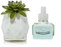 Algopix Similar Product 19 - Yankee Candle Faceted Succulent with