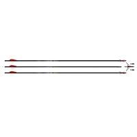 Algopix Similar Product 9 - FeraDyne Rage Simply Lethal Arrow