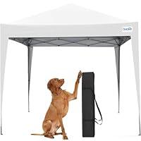 Algopix Similar Product 7 - Quictent 10x10 Pop Up Canopy Tent