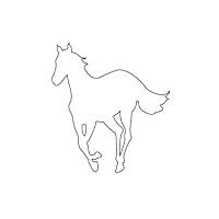 Algopix Similar Product 3 - White Pony