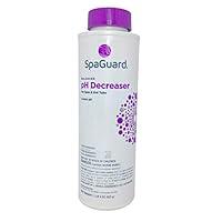 Algopix Similar Product 8 - SpaGuard pH Decreaser - 22 oz