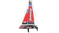 Algopix Similar Product 3 - Amewi 26059 Binary  Catamaran Sailing