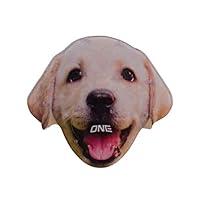 Algopix Similar Product 16 - ONEBALL Stomp Pad Oneballjay Lab 5x5'