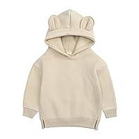 Algopix Similar Product 7 - RNTOP Toddlers and Baby Girls Hoodies