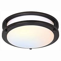 Algopix Similar Product 3 - 13 inch Flush Mount LED Ceiling Light