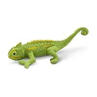 Algopix Similar Product 13 - Safari Animal Chameleons Multicoloured