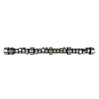 Algopix Similar Product 13 - DNJ CAM3104 Camshaft for