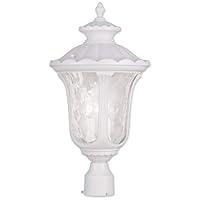 Algopix Similar Product 18 - Livex Lighting 785903 Oxford 3 Light