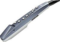 Algopix Similar Product 5 - Roland AE01 Aerophone Mini Digital