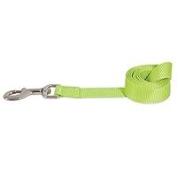 Algopix Similar Product 14 - Petmate Nylon Dog Leash Large 1 X 4