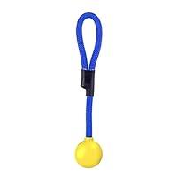 Algopix Similar Product 3 - Our Pets Grrrassic Durable Retrieval