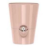 Algopix Similar Product 13 - Emsa Fresh Herbs M5250200 SelfWatering