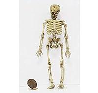 Algopix Similar Product 8 - Dollhouse Miniature Halloween Aged