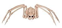 Algopix Similar Product 19 - Crazy Bonez Large Skeleton Spider